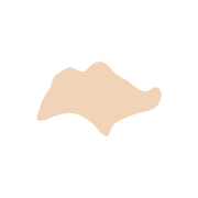 Singapore Stud